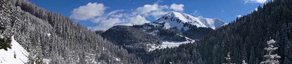 Austria Invest: Инвестиции, недвижимость, бизнес Austria Invest: Инвестиции, недвижимость, бизнес